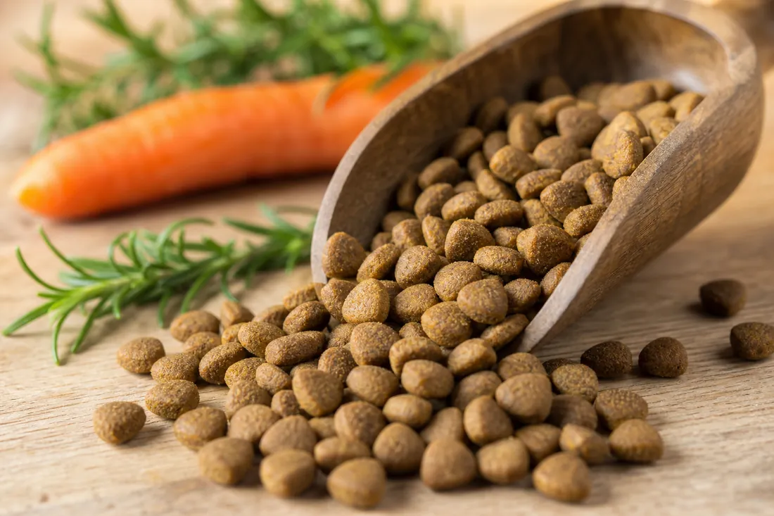 Premium dry dog kibble spilling from a wooden scoop