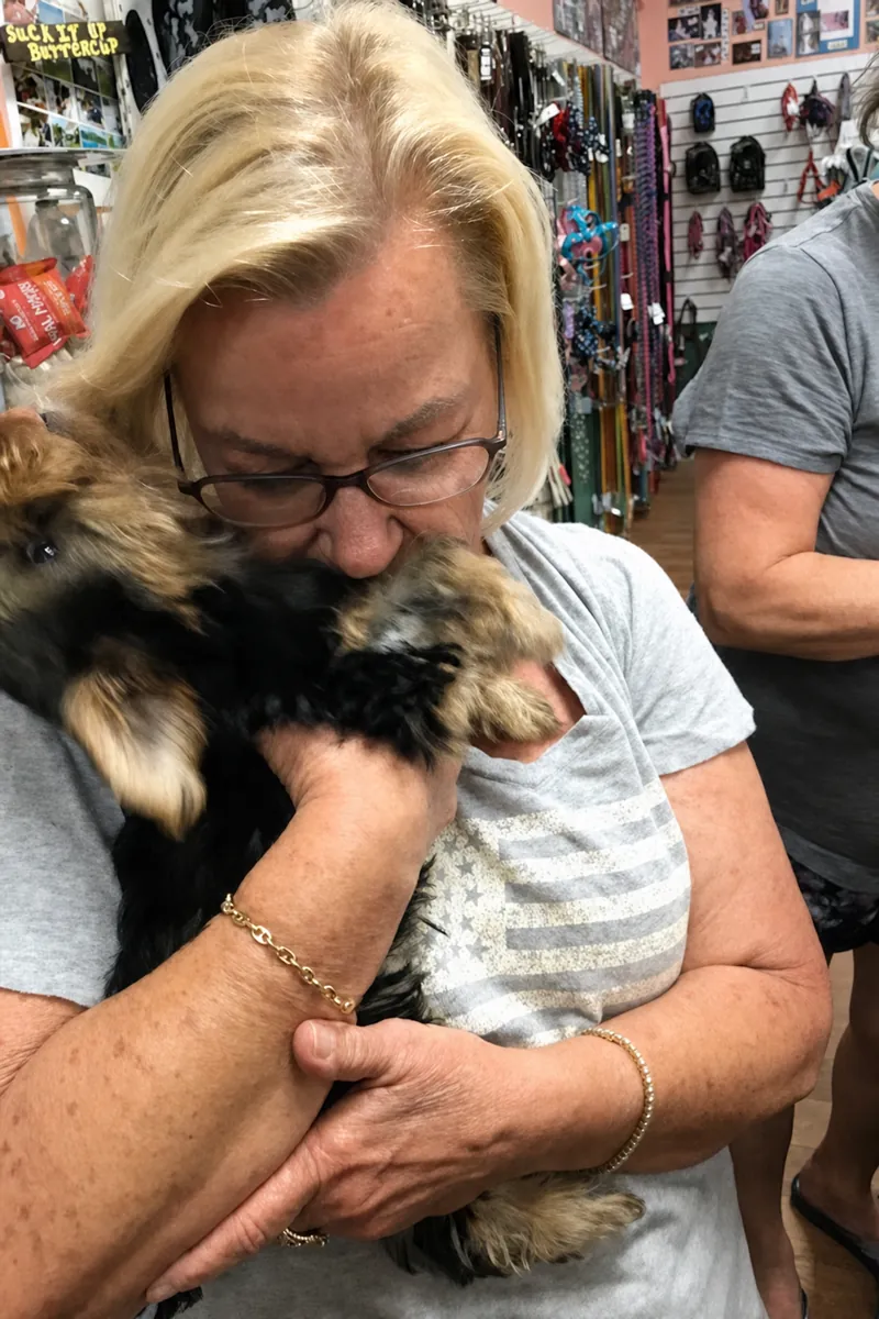 A customer holding a Yorkshire terrier puppy inside Paradise Poochie